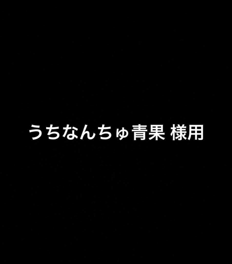 うちなんちゅ青果様用 取引用となります