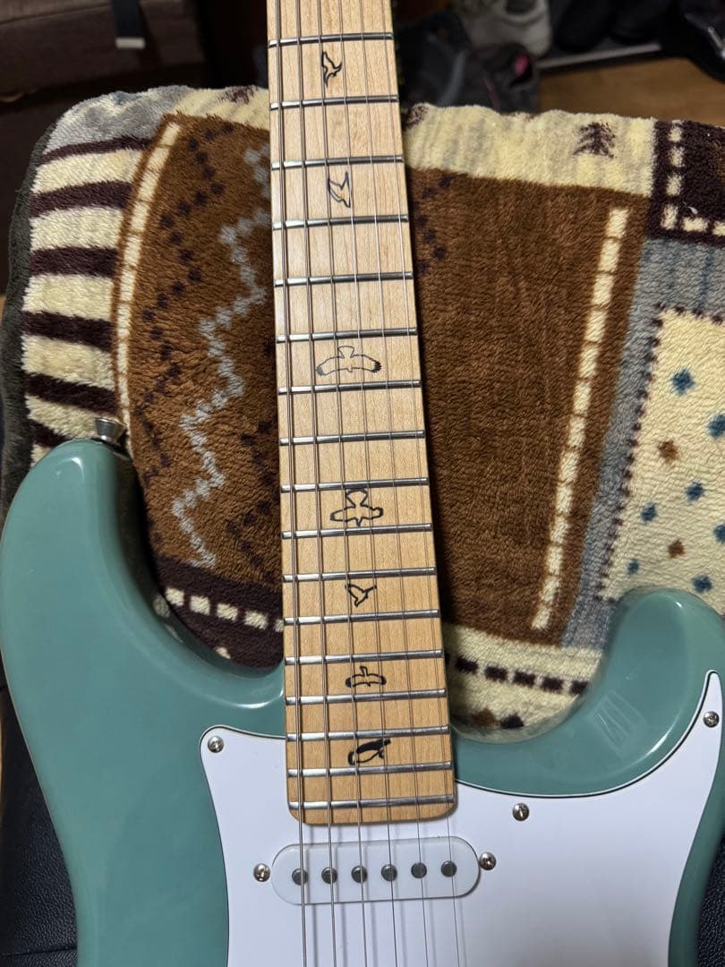 ギター RJ Vibecaster Professional