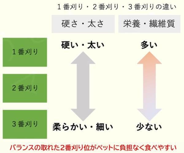 US産 チモシー 50kg ２番刈 ソフトSプレミアム