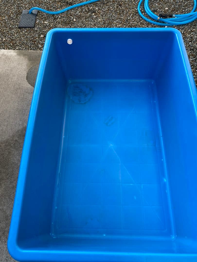 大型水槽