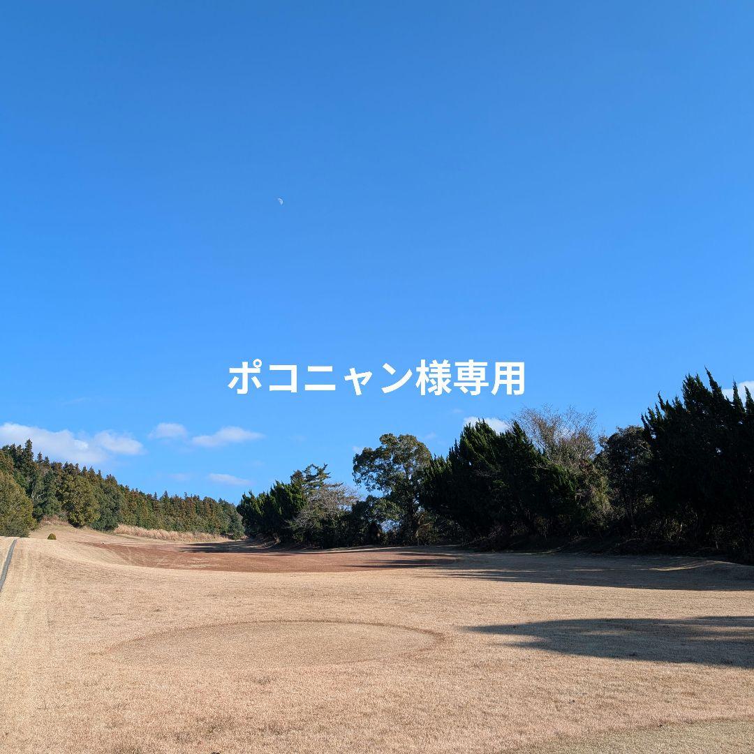 ポコニャン