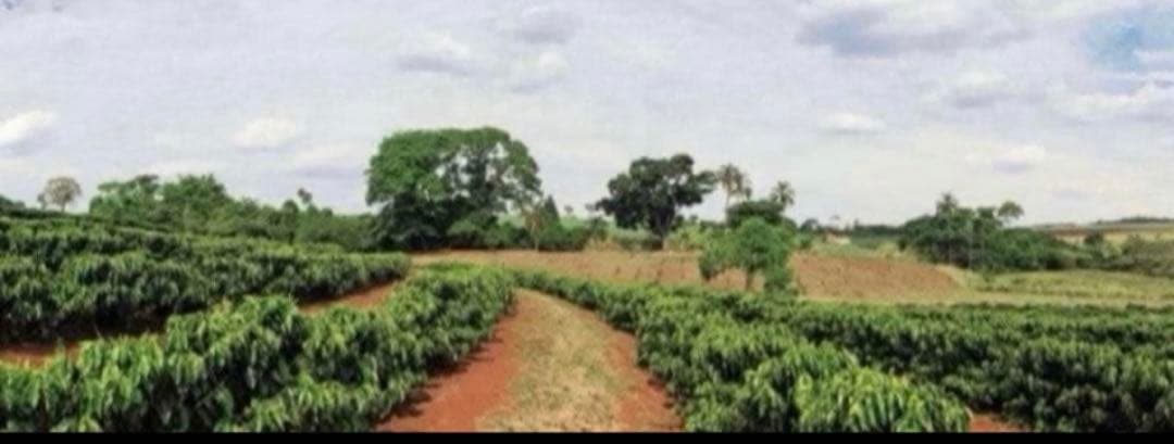 ぬっこ