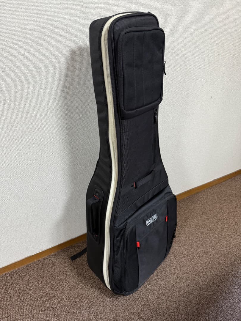 Yamaha F-310 ヤマハ＋ Gator製ギグケース