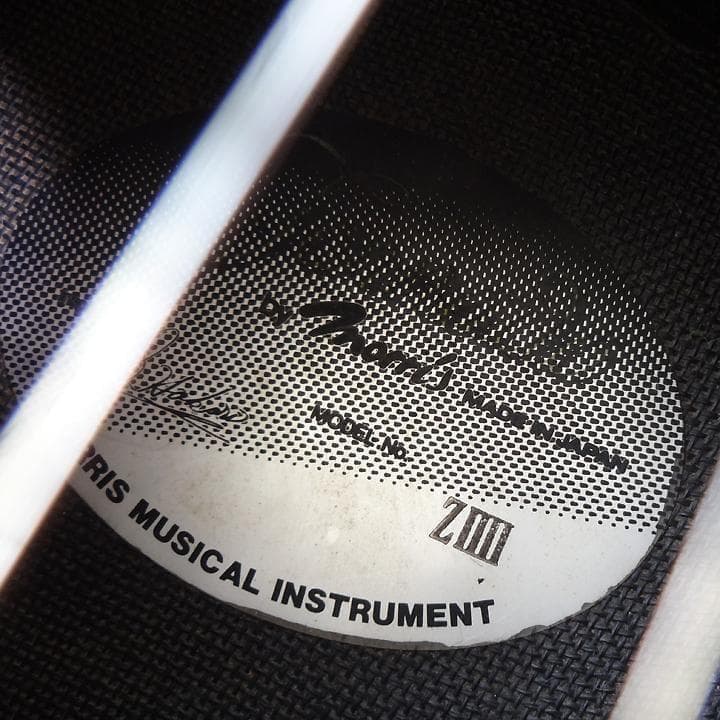 ミニエレアコ morris tornado ZIIII スモールサイズエレアコ