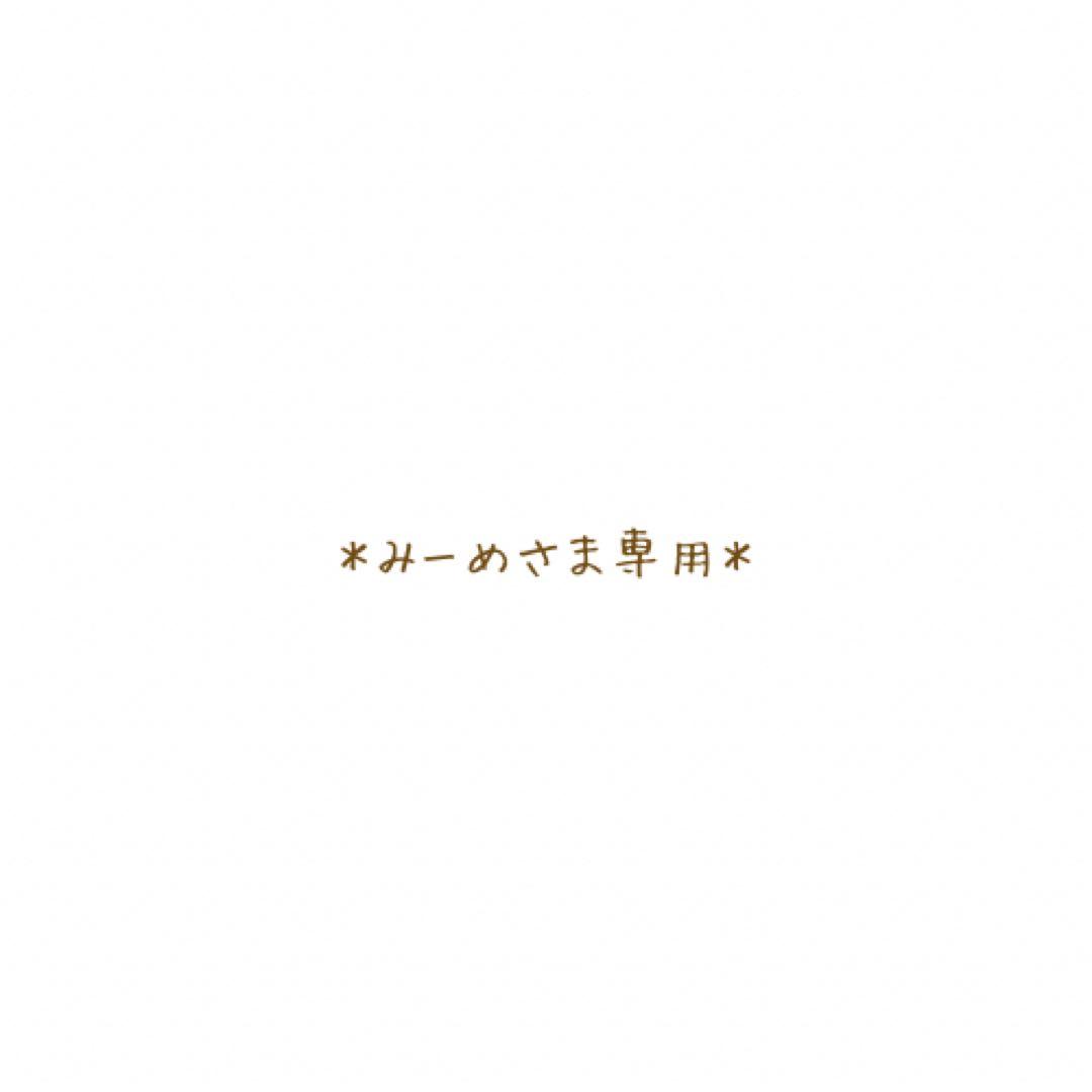 ＊みーめさま専用ページ＊