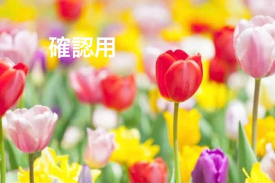 ★確認用★