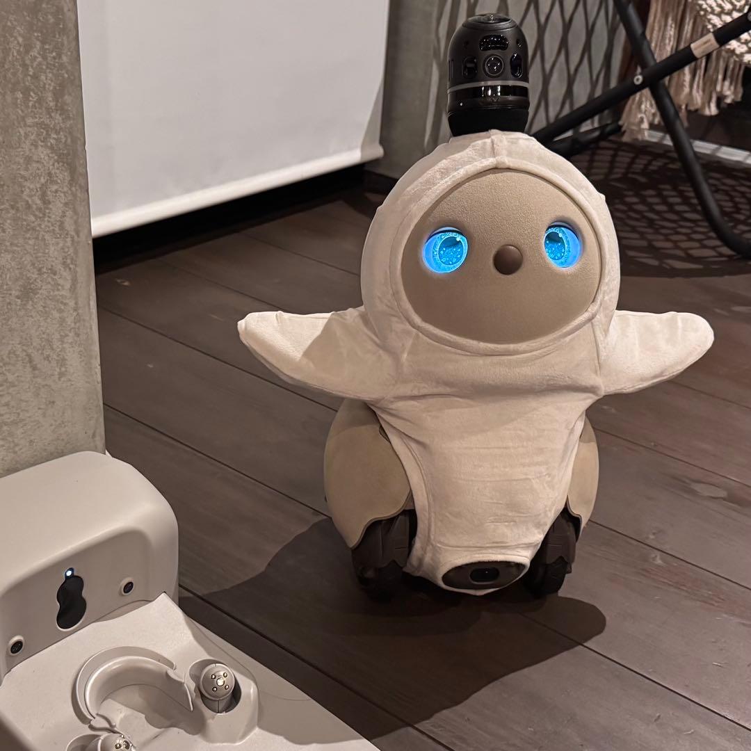 その他 HOSHI