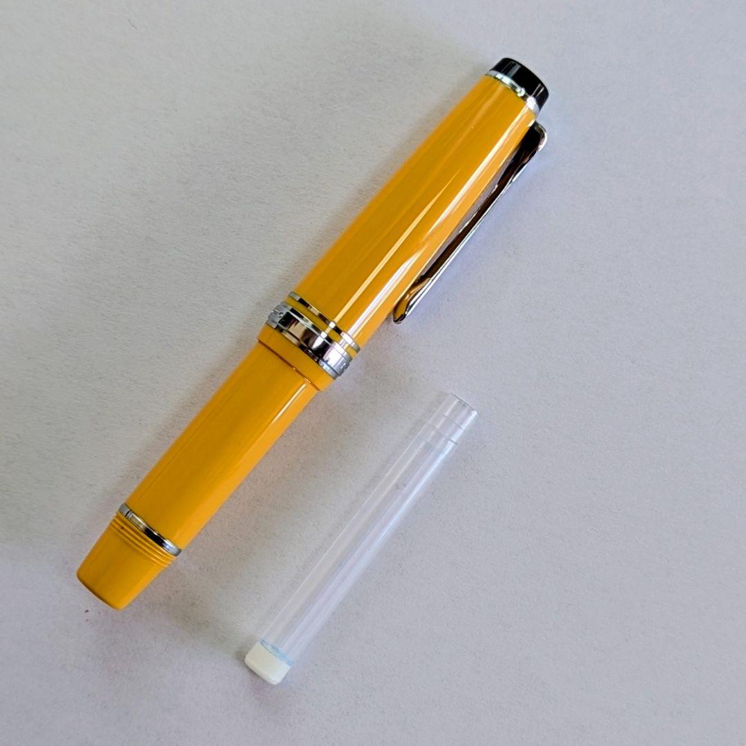 Y*o様 NAGASAWA オリジナル万年筆　ペンスタイルメモ プロギア スリム