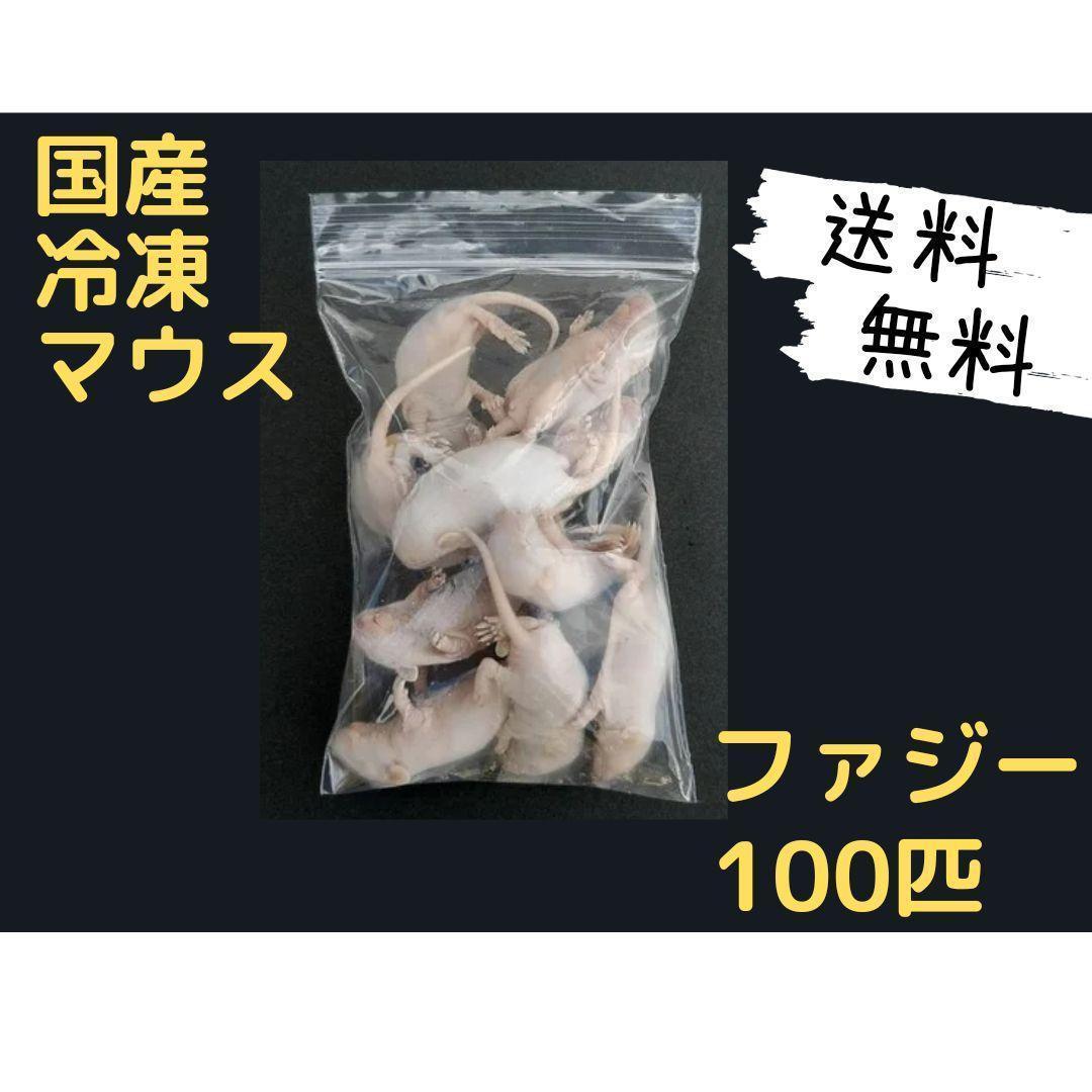 国産冷凍マウス ファジー 100匹 (一部地域発送)