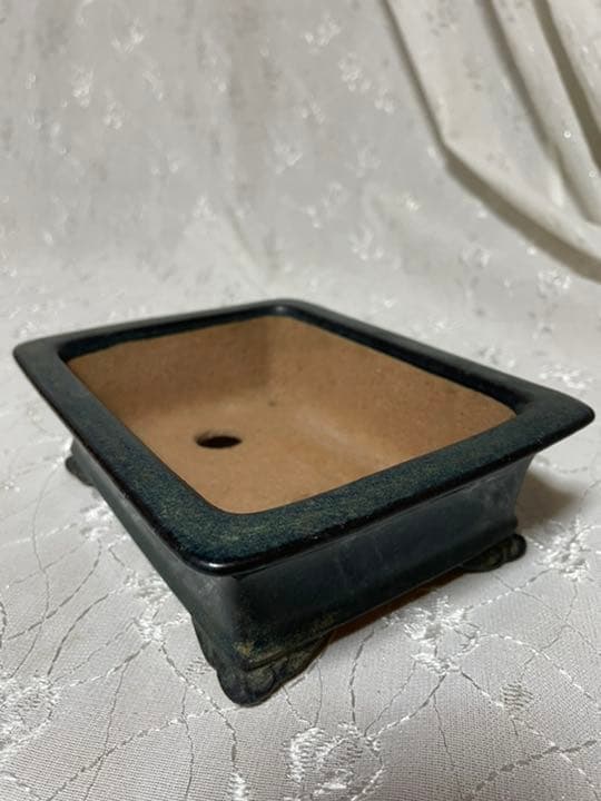 黎鳯 盆栽鉢