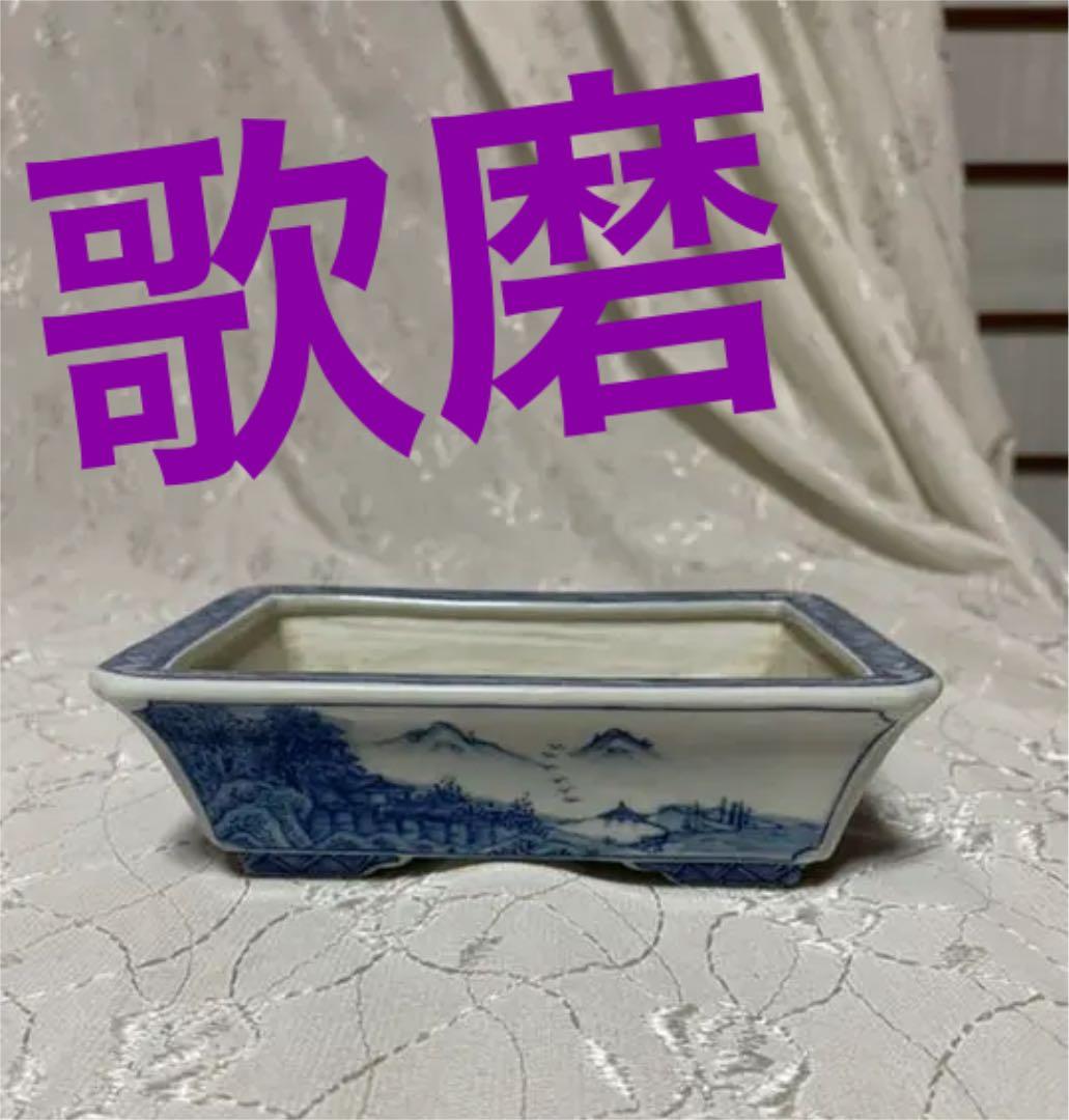 歌磨　盆栽鉢