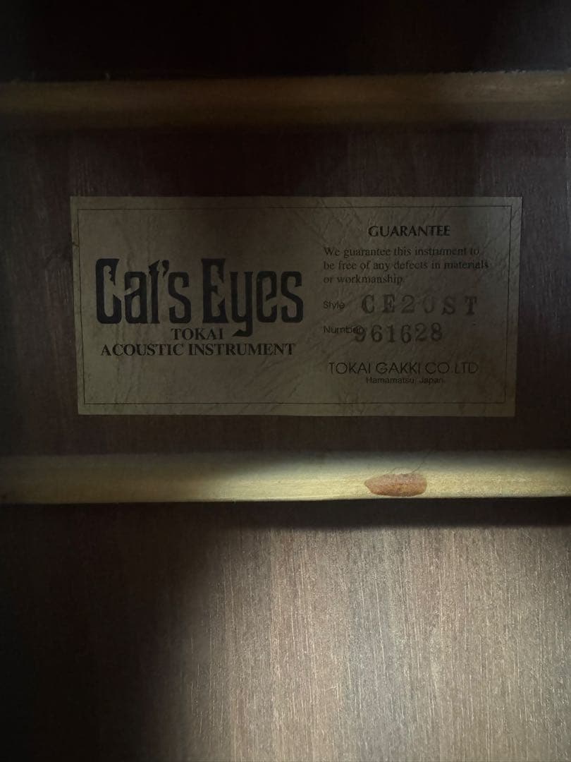 cat's eyesアコースティックギター　ソフトケース付き