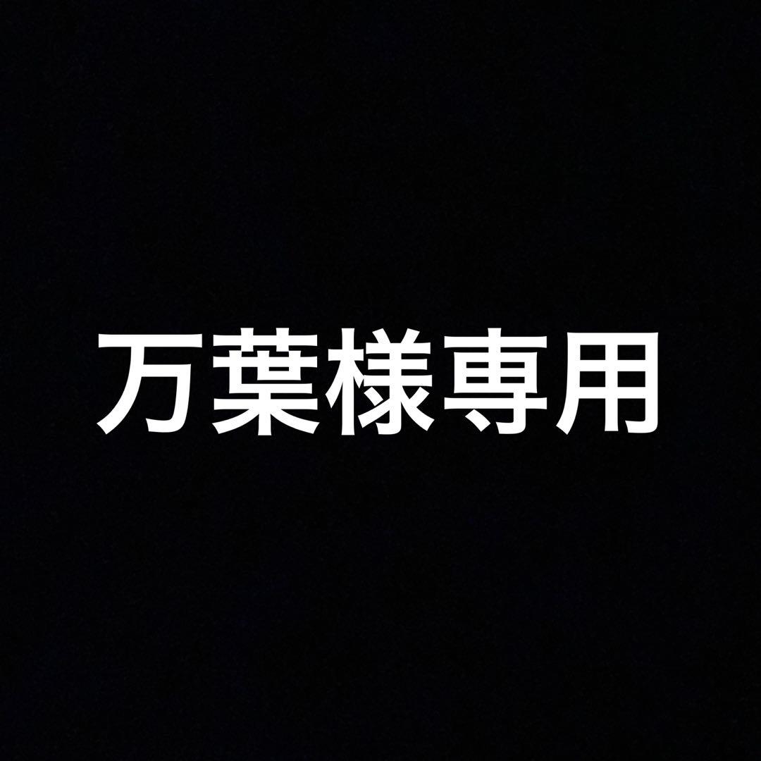 ミニ四駆　専用ページ