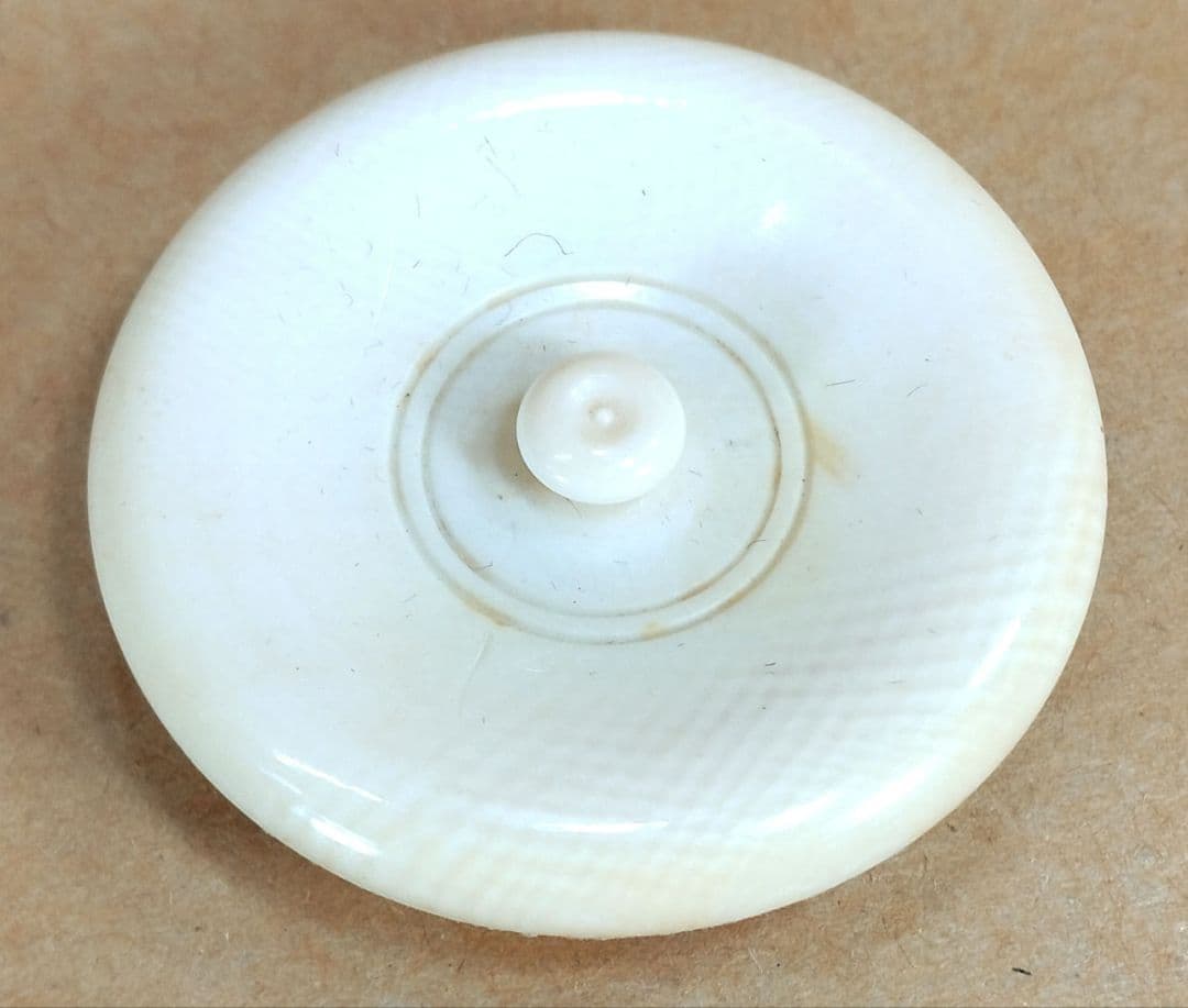 【本物保証】山口錠鉄(二代) 古瀬戸肩衝茶入 共箱 仕覆 牙蓋 未使用品 瀬戸焼