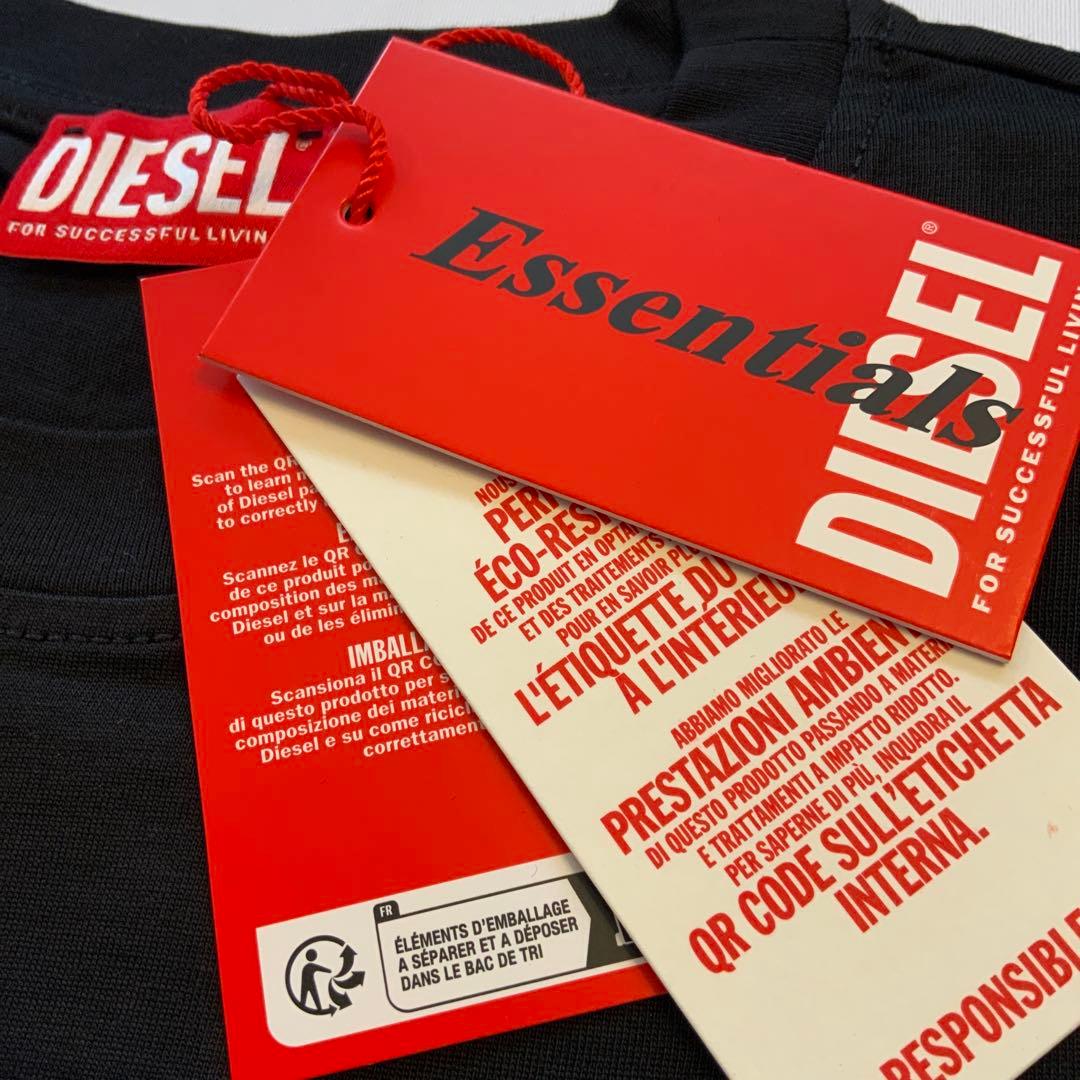 ラスト１点　DIESEL　T-ISCO-DIV　Ａ10508　L　ロゴ