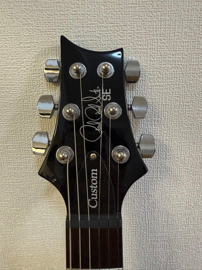 PRS(Paul Reed Smith) se custom24 (付属品多数)