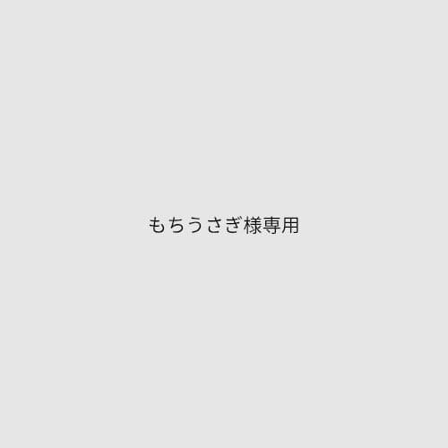 もちうさぎ　ホワイト