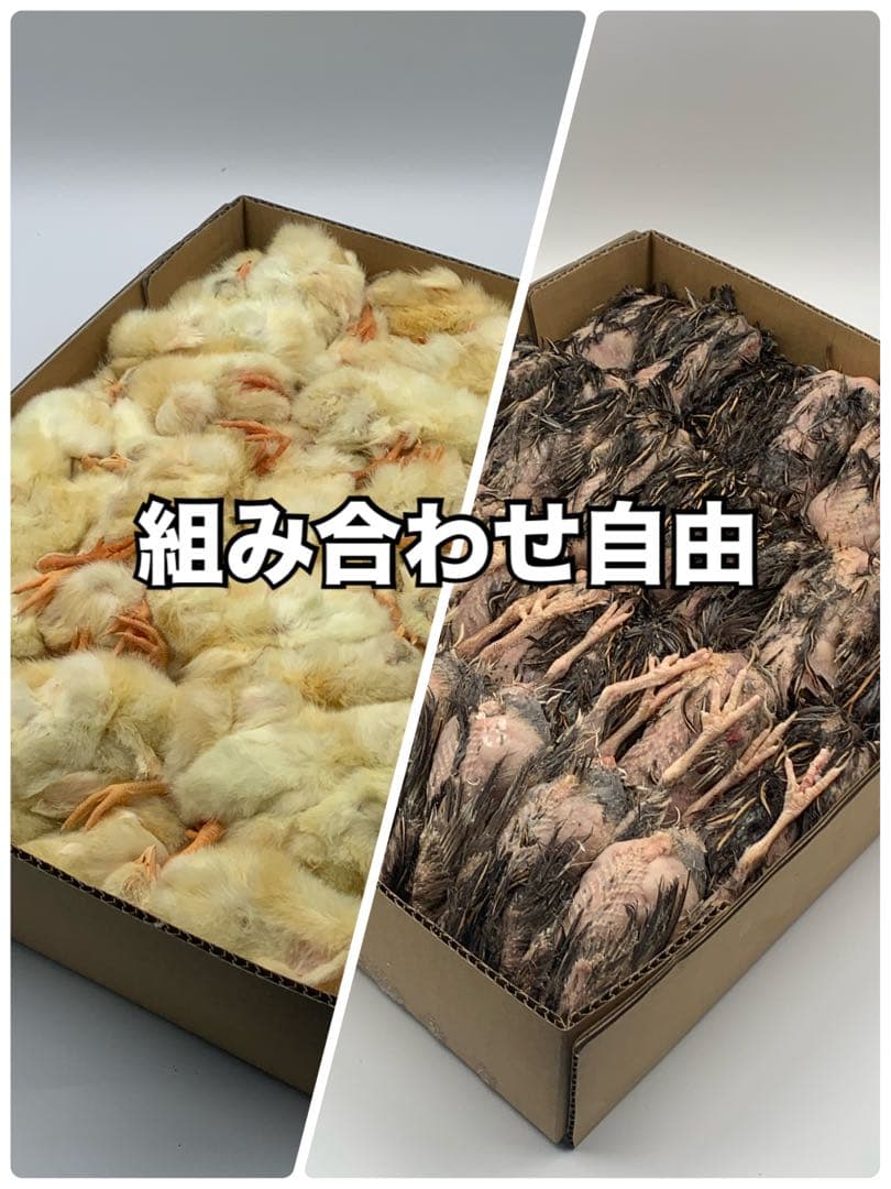 冷凍ヒヨコ5kg×4段【送料込】