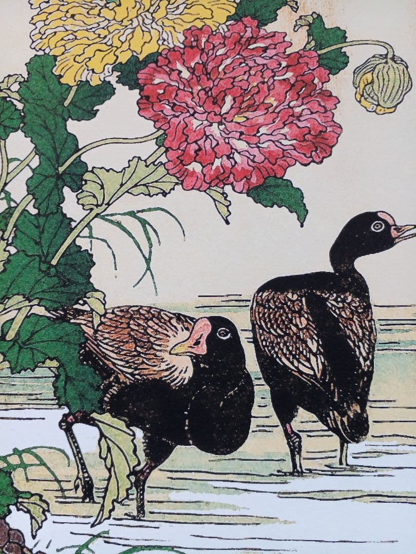 江戸屋版　媒嶺花鳥画譜第1編 27図 手作り古画修復　浮世絵風