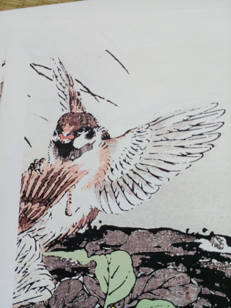 江戸屋版　媒嶺花鳥画譜第1編 27図 手作り古画修復　浮世絵風