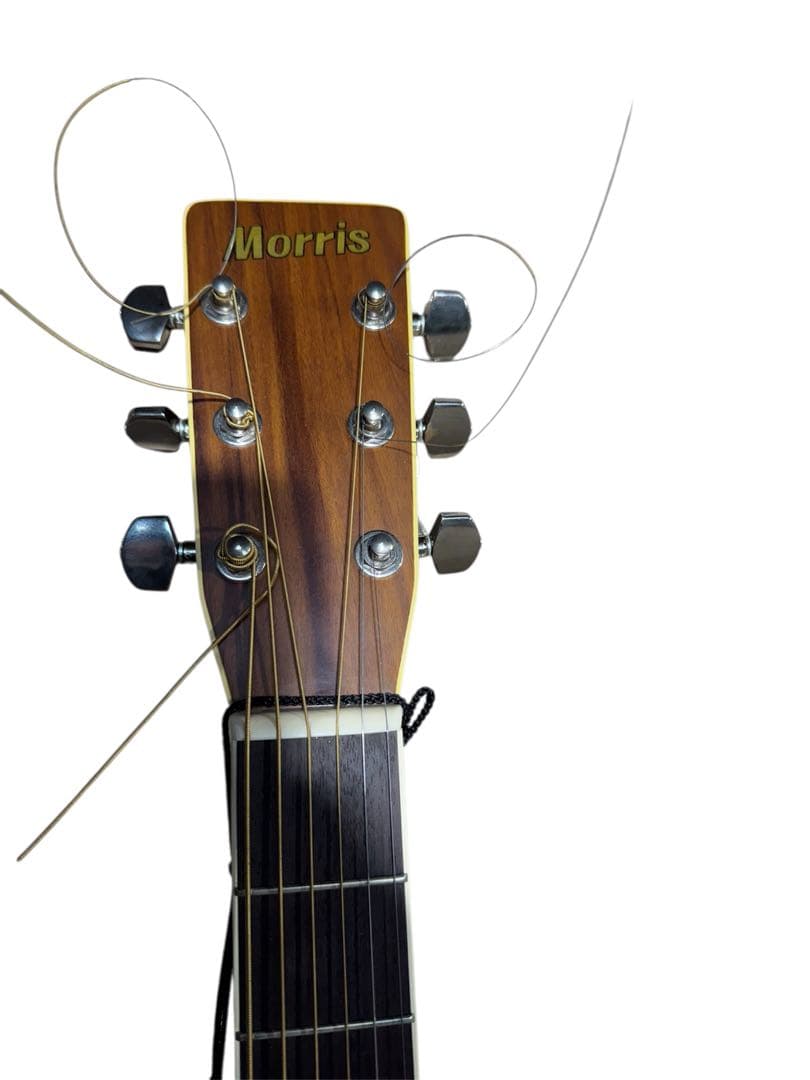 MORRIS MD-501 クラシック ギター アコースティック 弦楽器