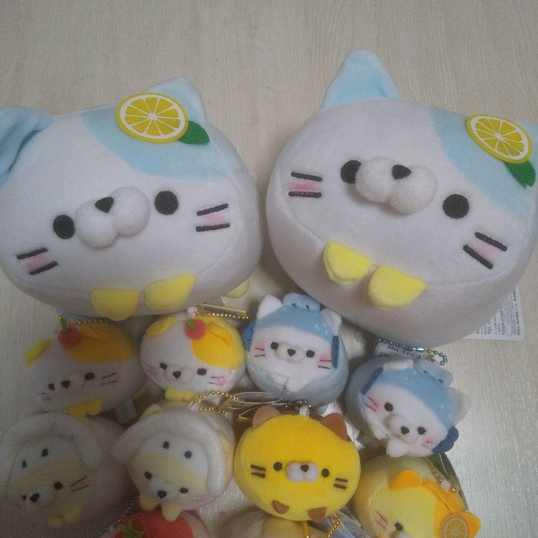 ゆきぽん様