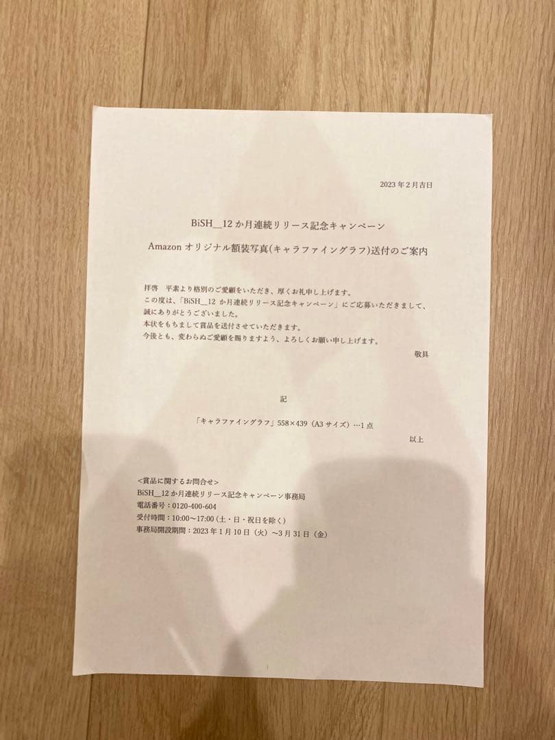 【美品・非売品】BiSH Amazon購入者限定　オリジナルキャラファイングラフ