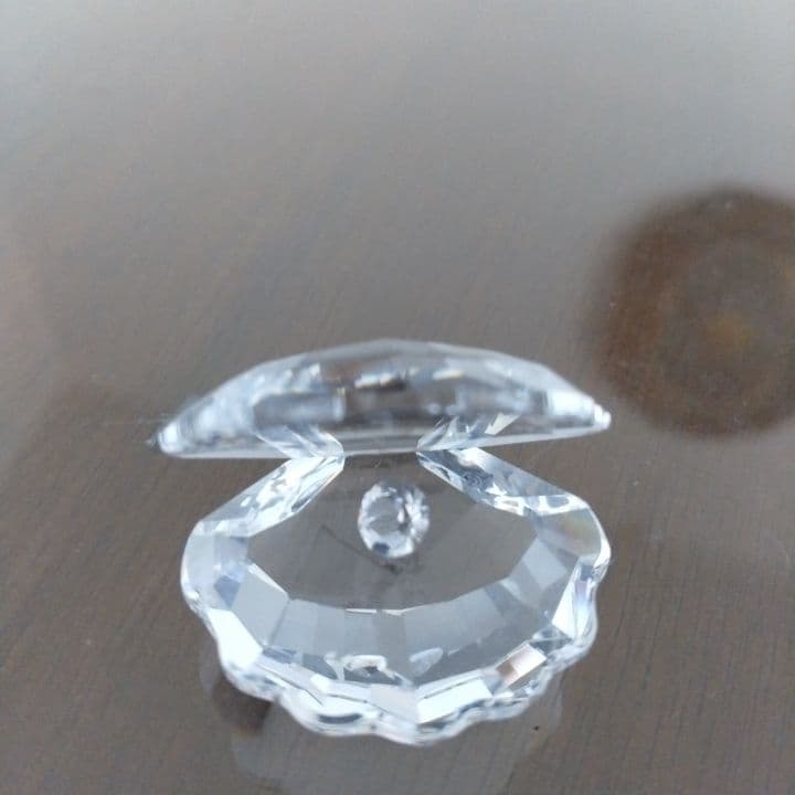 Swarovski クリスタル オープンシェル⭐︎お買い上証明書付き