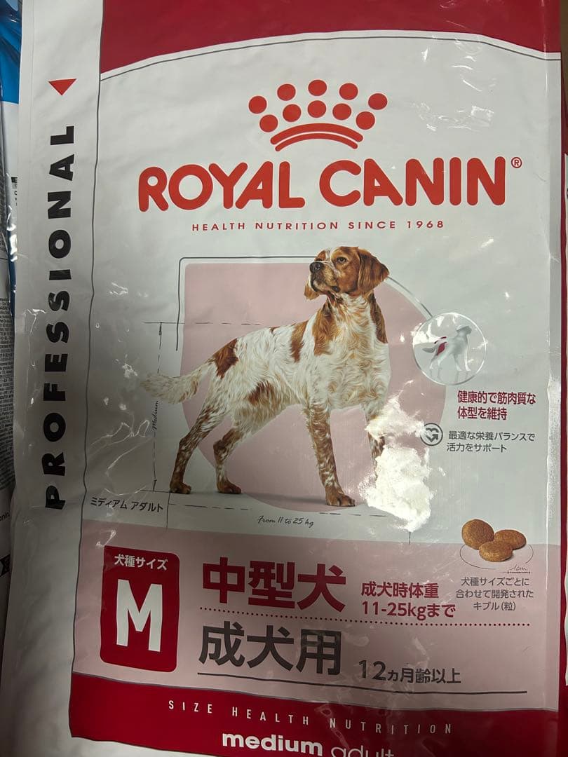 きんたろう