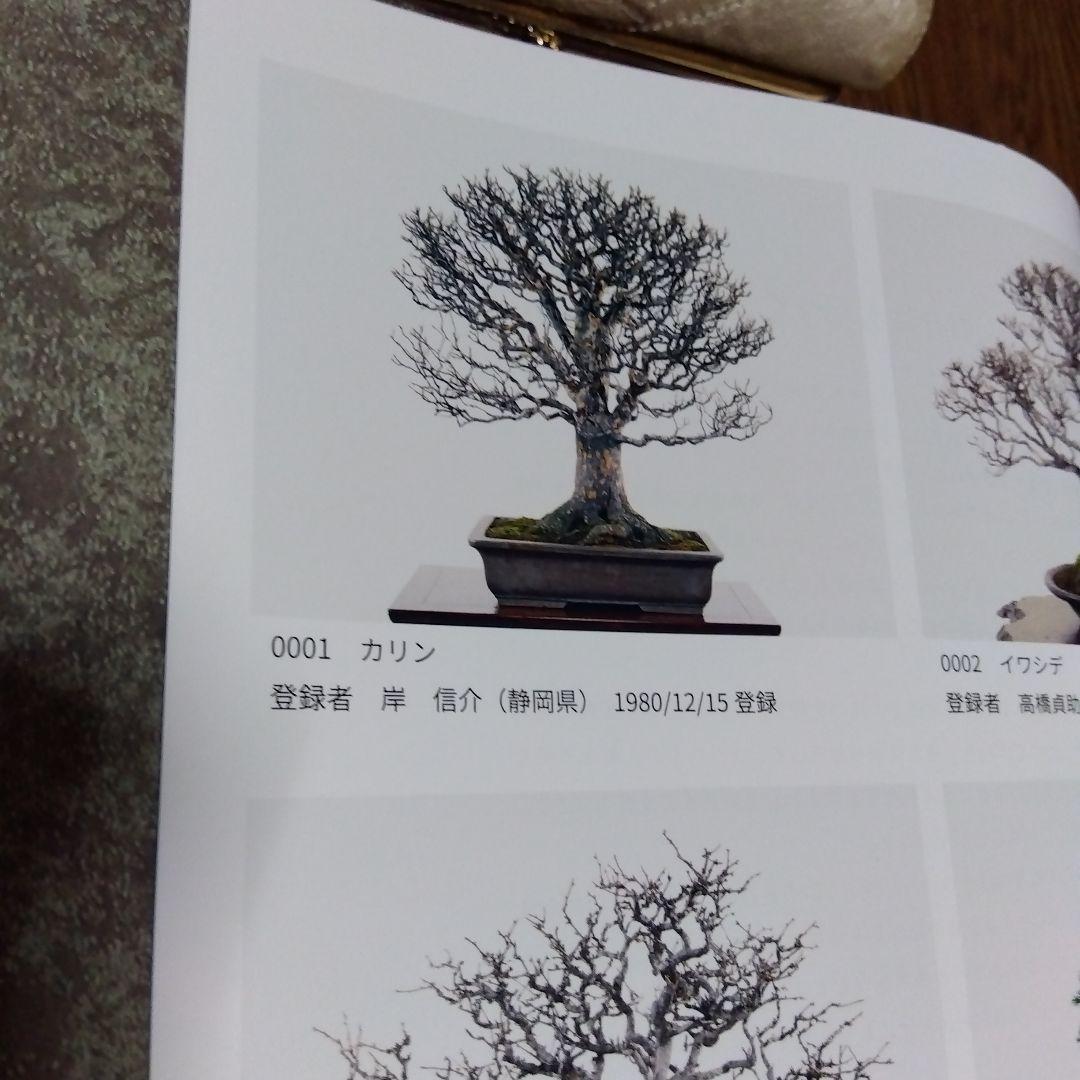 貴重盆栽登録樹集