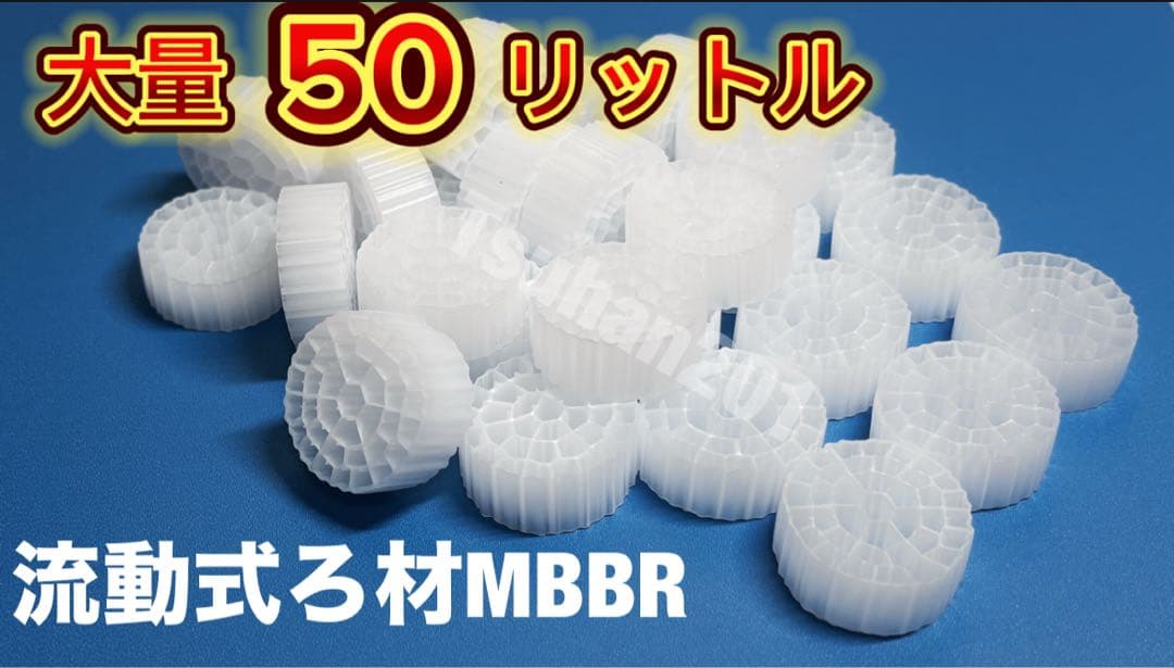 タコ　50L