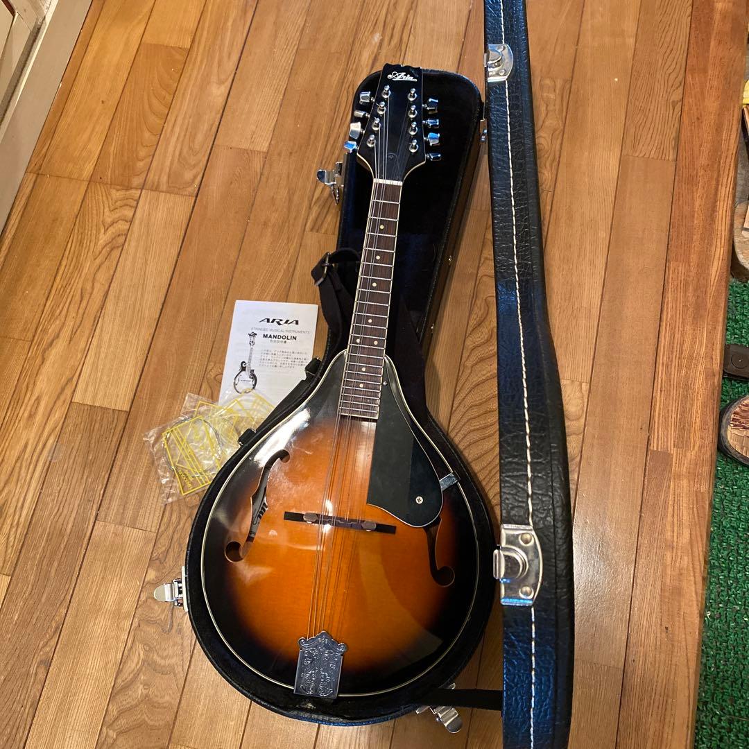 弦楽器 ARIA Mandolin