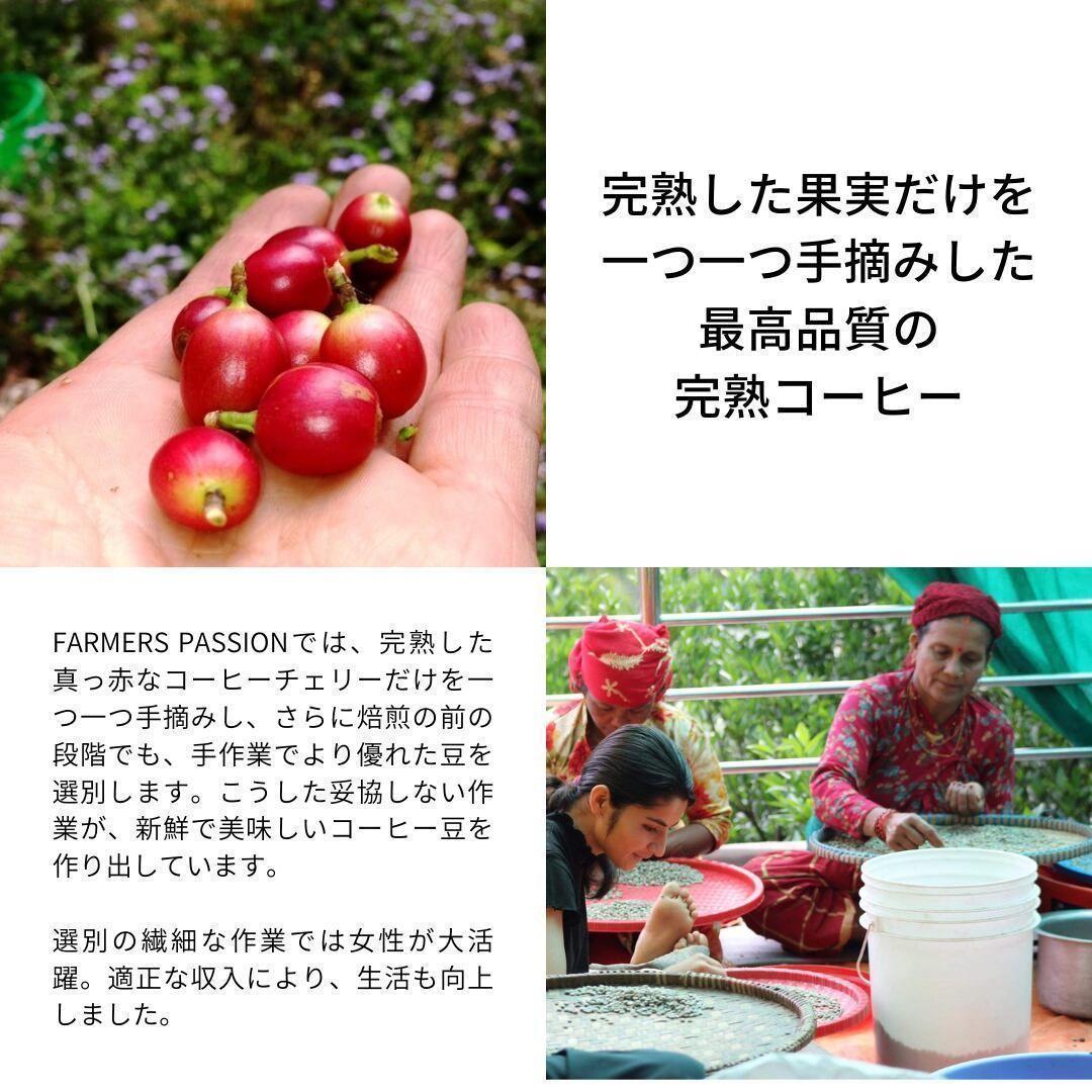 ☆オーガニックコーヒー ストロング フェアトレード 1kg コーヒー豆 ネパール