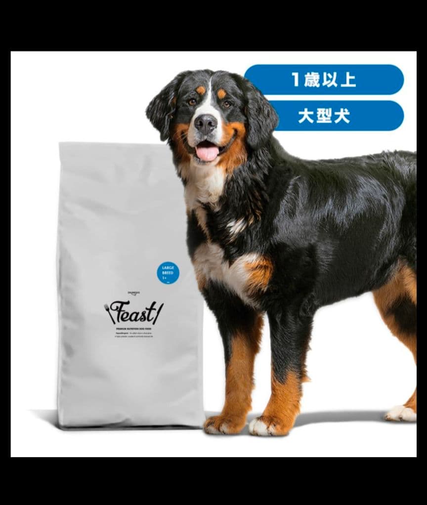INUMESHI フィースト 1才以上 大型犬用 大粒 15kg ドッグフード