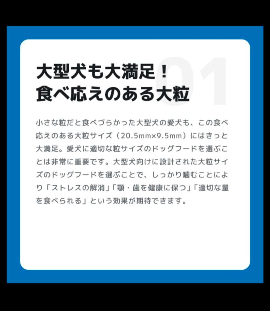 INUMESHI フィースト 1才以上 大型犬用 大粒 15kg ドッグフード