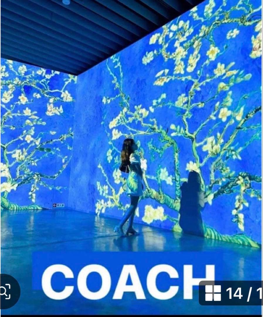 新品コーチCOACHパスキアコラボ二つ折り財布スナップウォレットホワイト.白