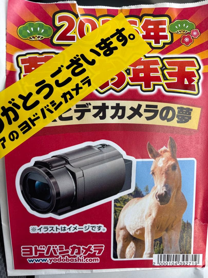 ヨドバシ　夢の箱福袋夢 ‼️Sony ソニー Handycam FDR-AX45Ａ