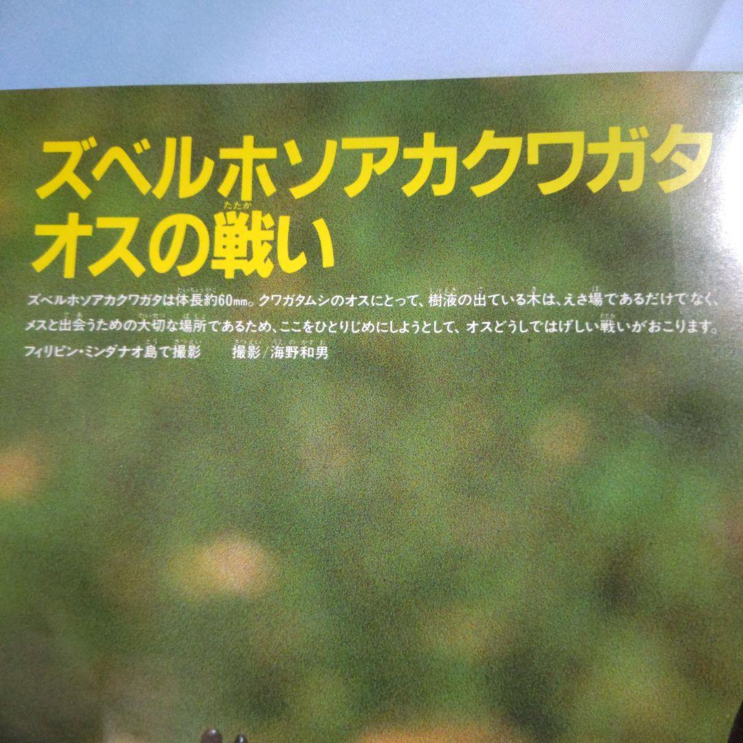 昆虫図鑑付録未使用折りたたみポスター 付海外カブトムシ＆クワガタ昭和58年当時品