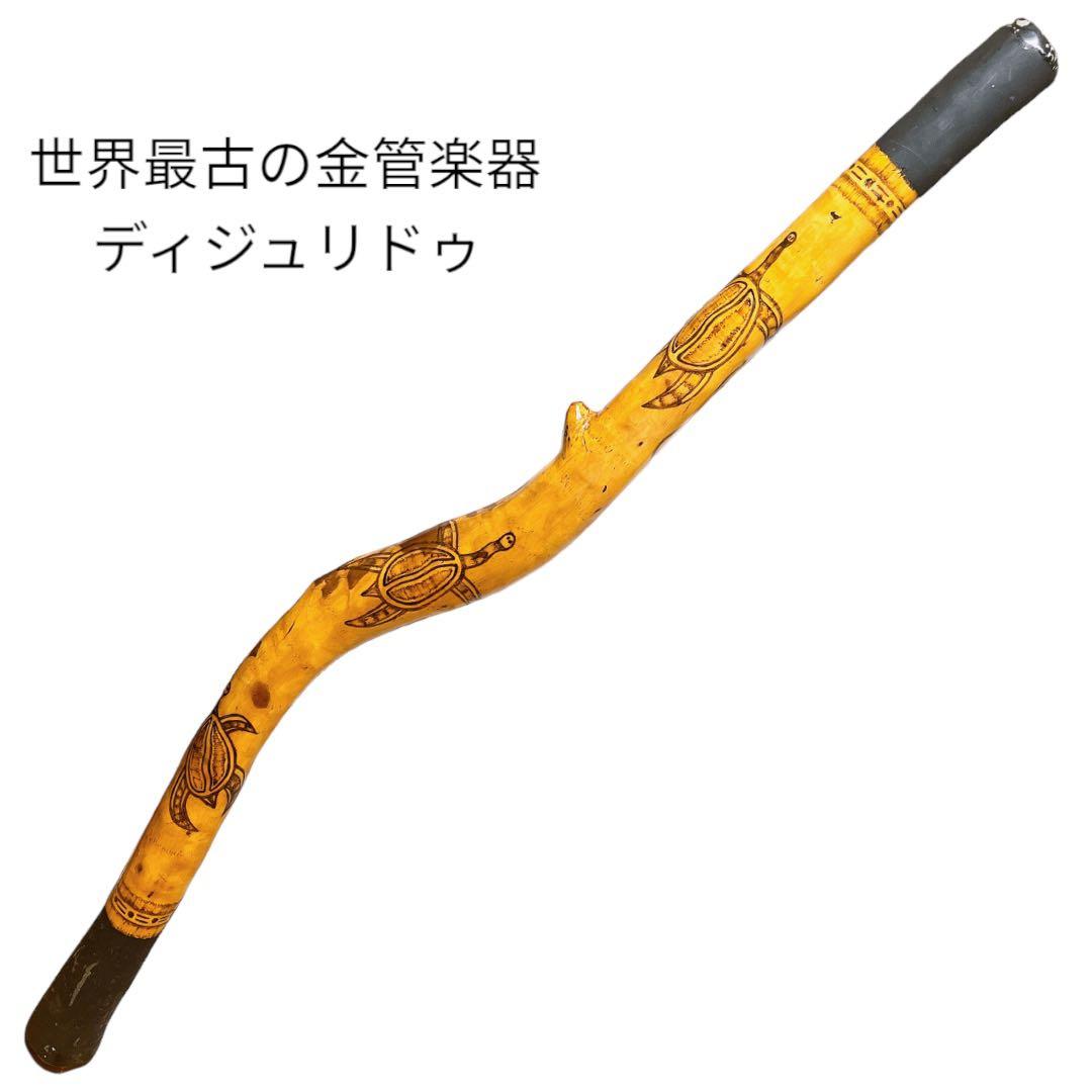 世界最古の金管楽器　ディジュリドゥ