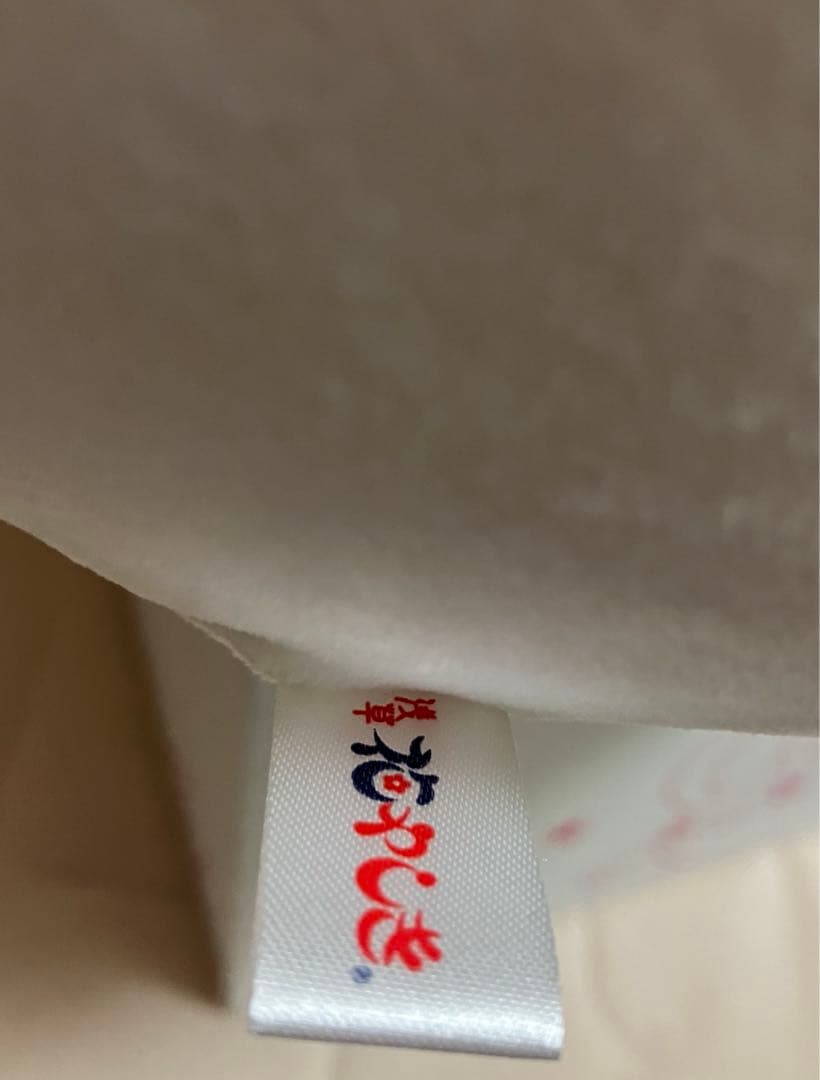 浅草　花やしき　 パンダカー　くじ　特賞