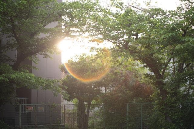 【玉ボケが綺麗なオールドレンズ】smc takumar 55mm f1.8