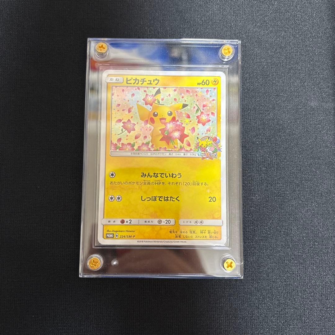 ピカチュウ プロモカード 224/SM-P