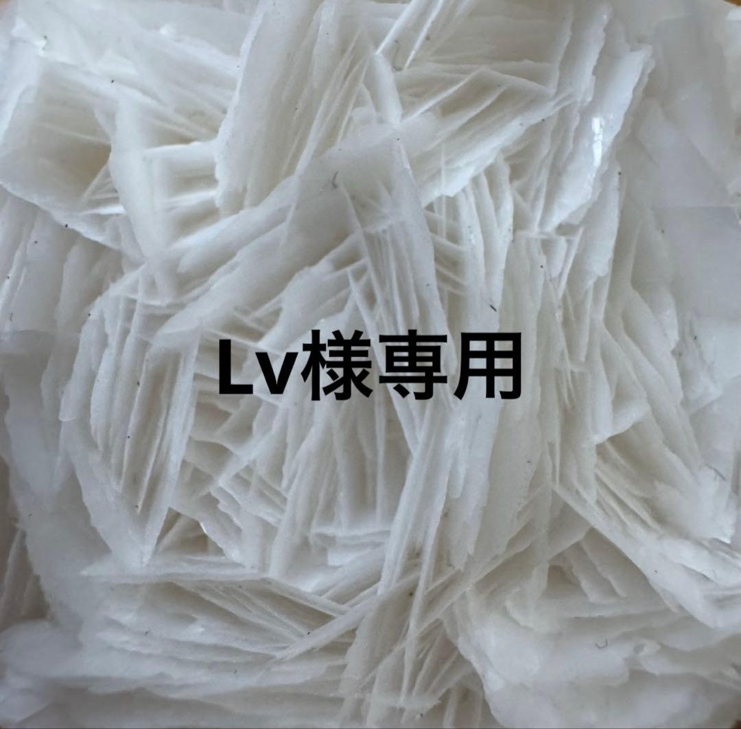 アクセサリー Lv