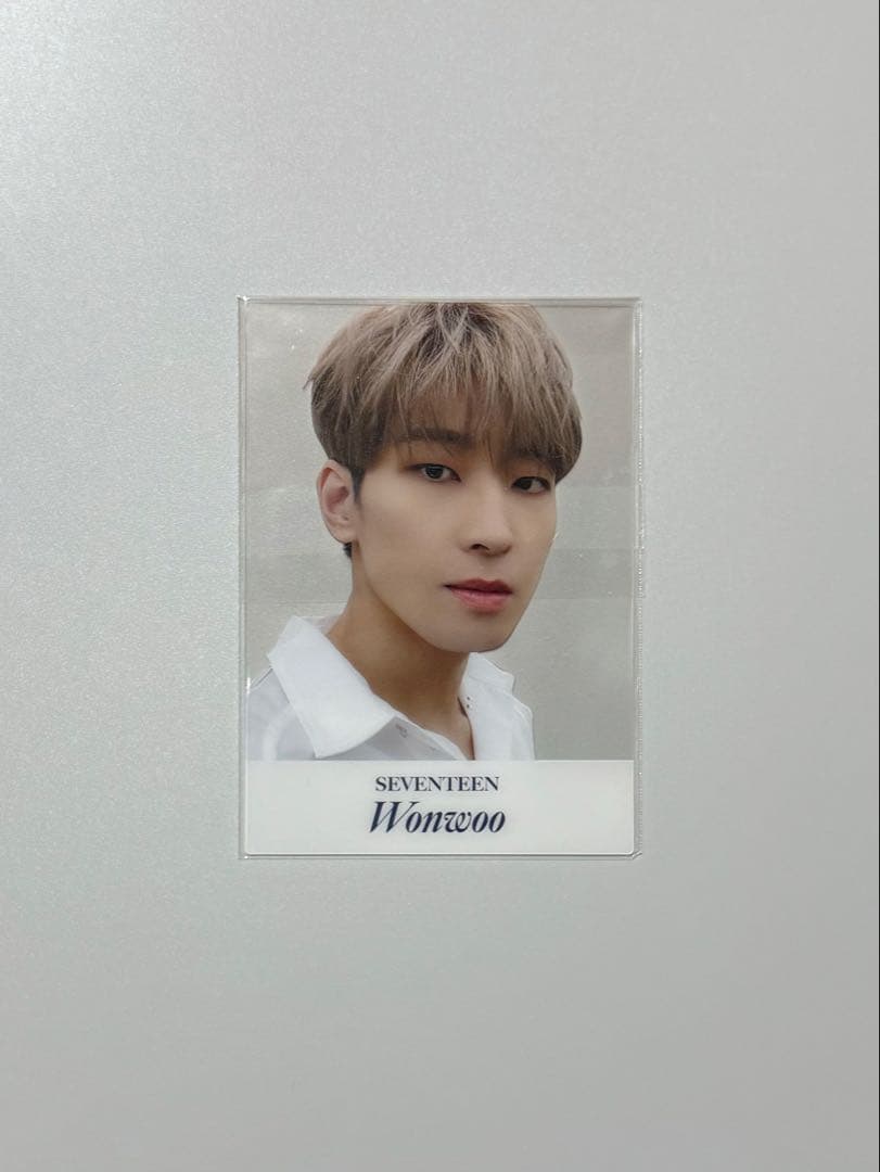 【1156】SEVENTEEN your choice 特典 ウォヌ