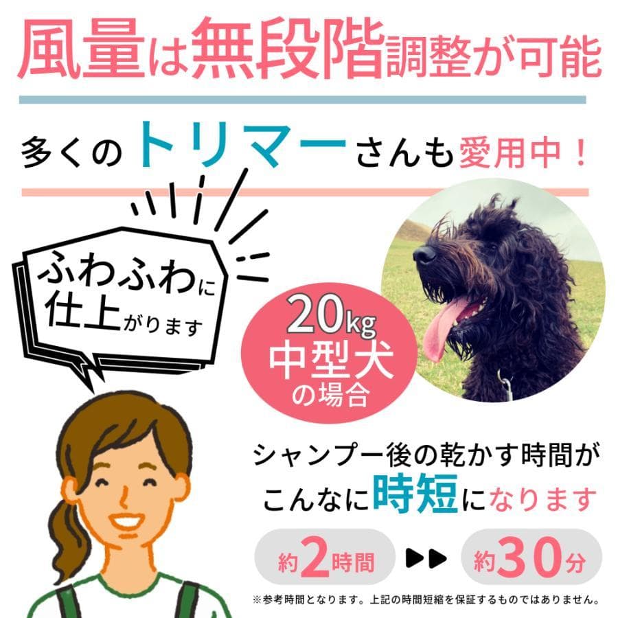B DOGOne ペットドライヤー 犬 クイックドライ 強風 ブラック