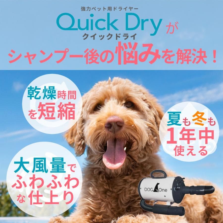 B DOGOne ペットドライヤー 犬 クイックドライ 強風 ブラック