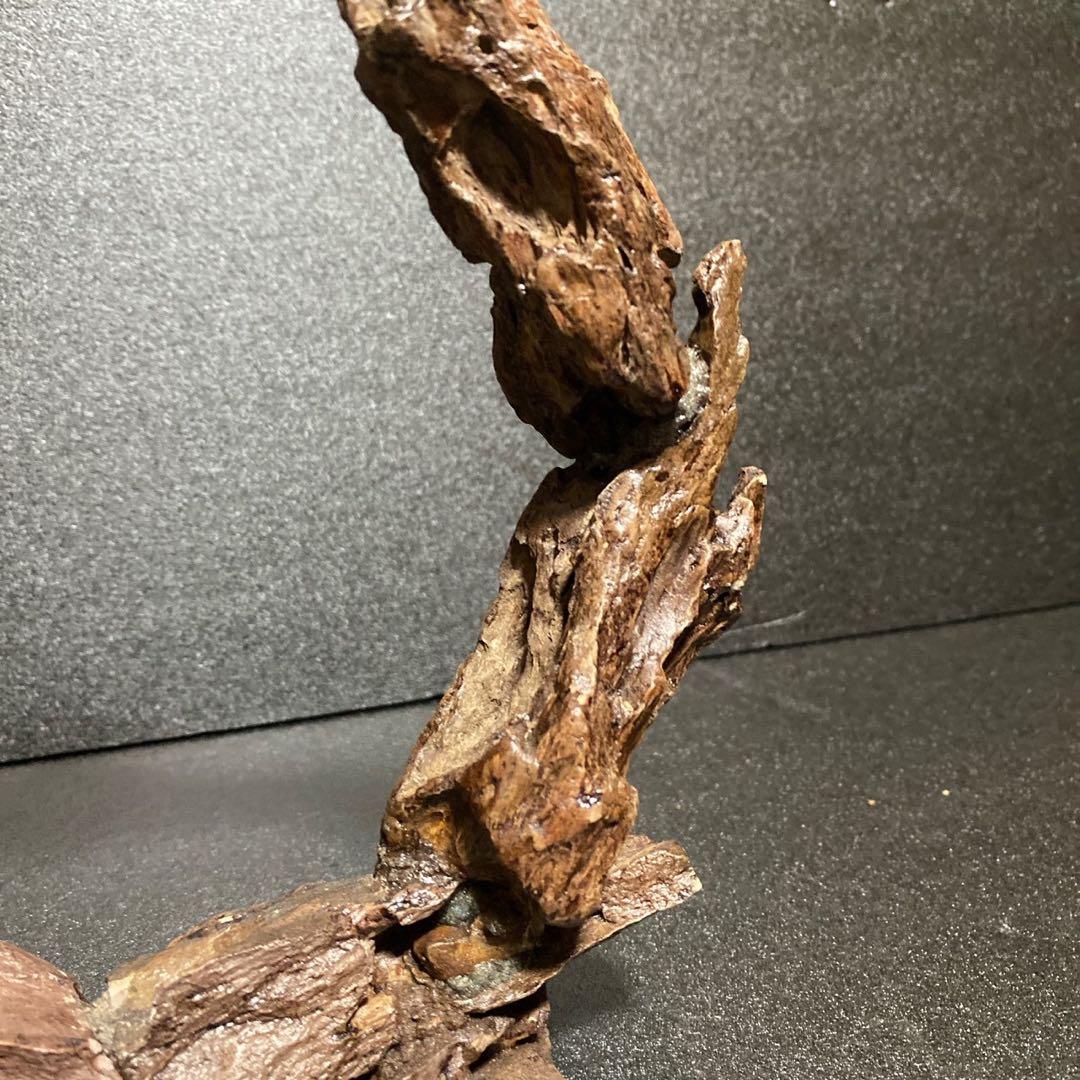 ◎気孔石 アート 一点もの インテリア 天然