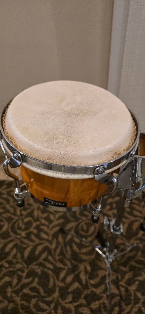 Zenn ボンゴ　ゼン スタンド付き