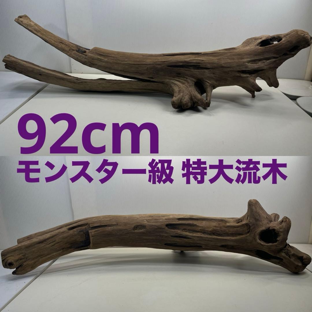 W27特大流木 アク抜き済み流木 爬虫類シェルター 登り木 インテリア 生け花
