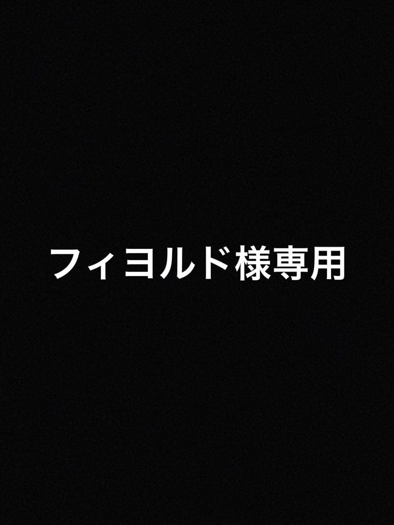 遊戯王　フィヨルド